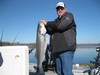 (03/30/2015) - Nice Striped Bass